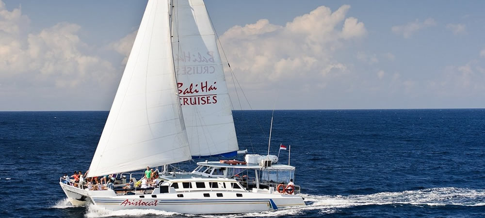 cruise bali
