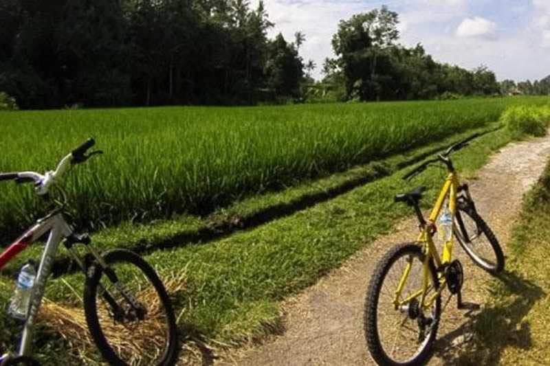 cycling