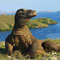 komodo