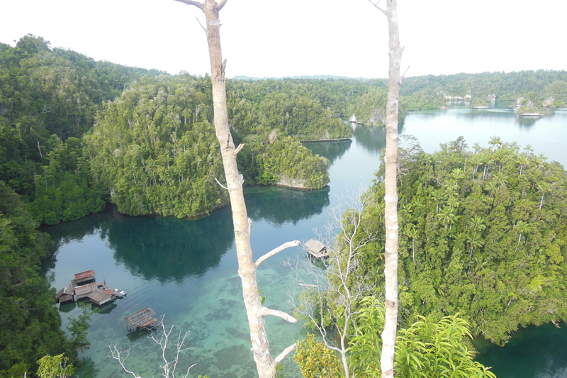 raja ampat