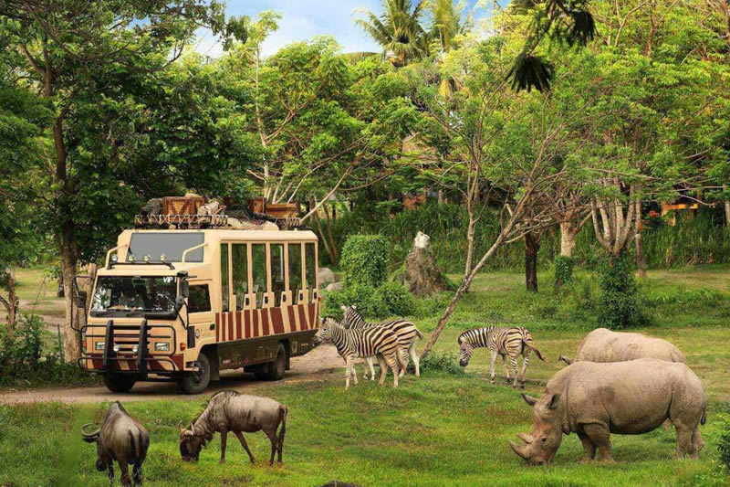 safari marine