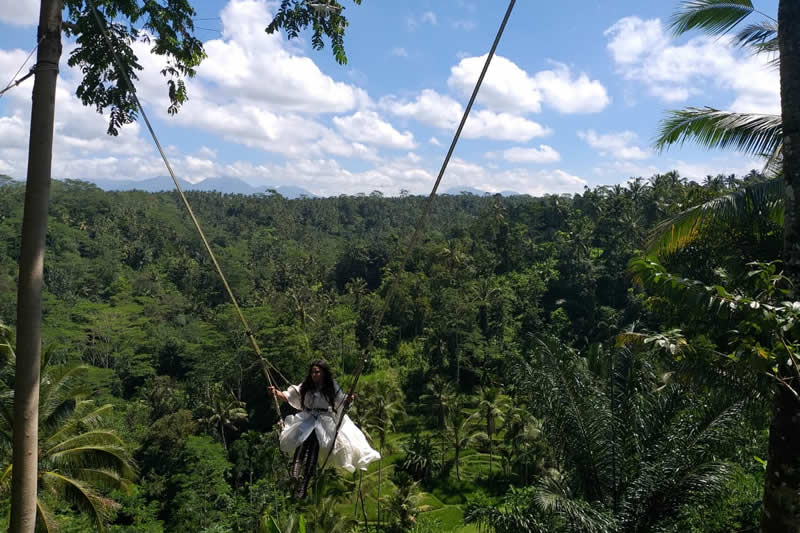 swing