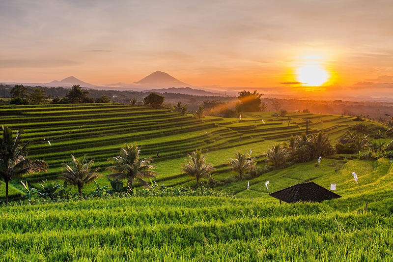 ubud